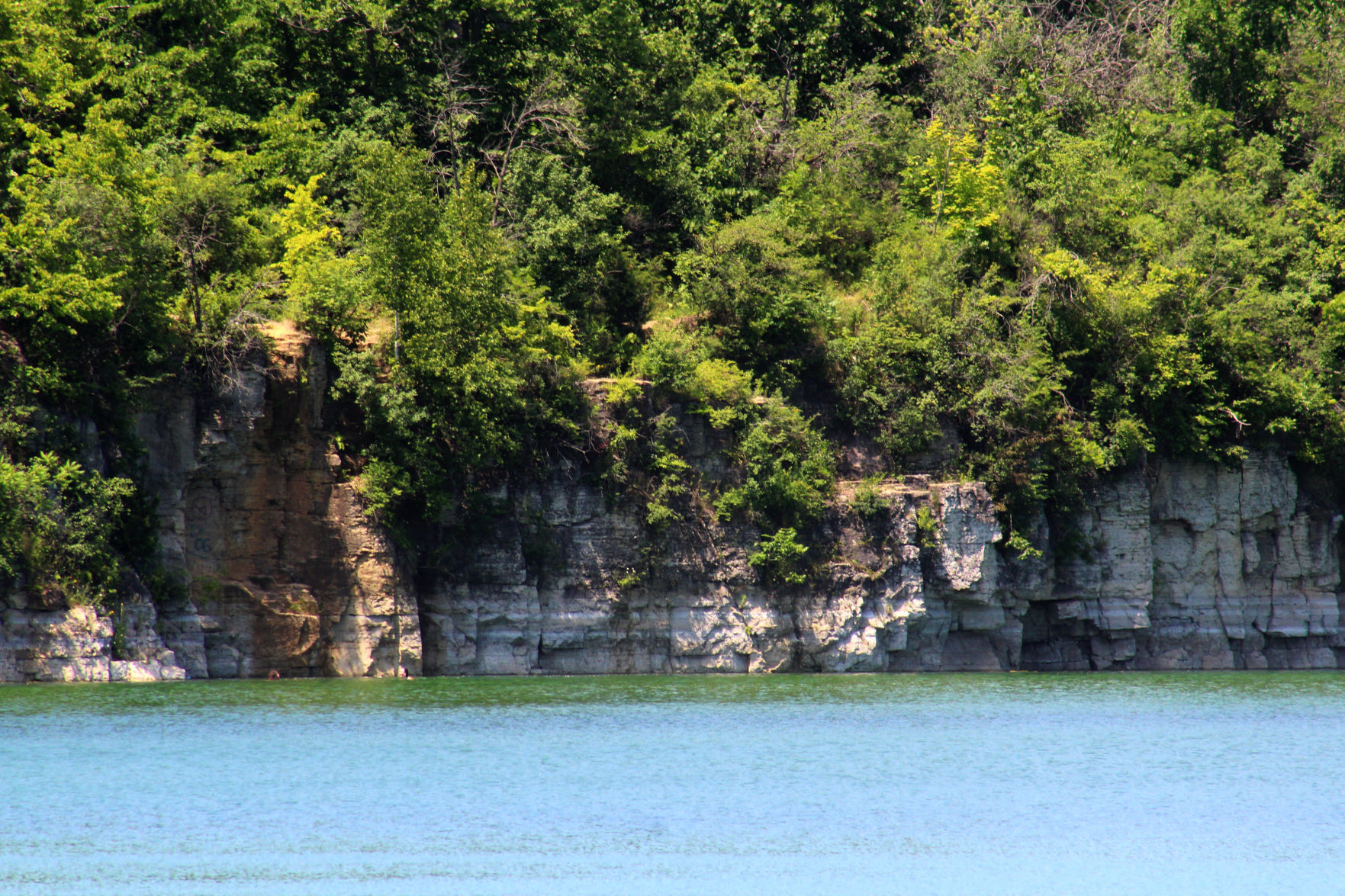 Quarry Lake Park cliffs and trees